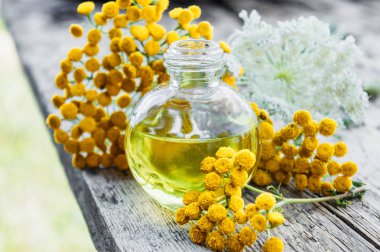 Şifalı otlar tansy ve yarrow. Ahşap bir arka plan üzerinde bir cam şişe de esansiyel yağ veya tansi ve yarrow tentür bir konserve. Bitkisel ilaç kavramı.