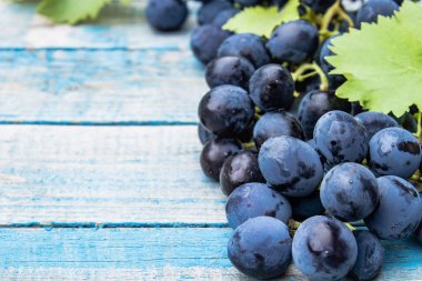 Mavi eski tahtalarda mavi üzüm ve yeşil yapraklar. Tahta bir masada bir salkı üzüm.