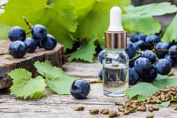 Botol dengan biji anggur minyak esensial pada papan kayu tua dekat grone dari anggur biru dan daun hijau. Spa, konsep produk eco . — Stok Foto