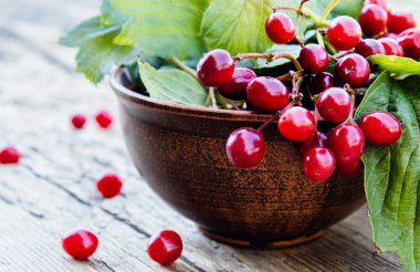 Ahşap bir masa üzerinde yuvarlak bir kapta olgun kırmızı viburnum çilek. Ahşap bir arka plan üzerinde Viburnum. Sonbahar konsepti, hasat, yemek pişirme.
