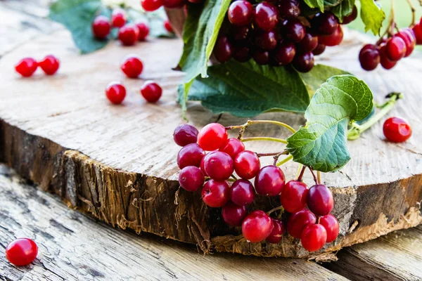木製のテーブルの上に赤いビバーナムベリーと緑の葉のクローズアップ。木製の背景にヴィバーナム。秋のコンセプト、収穫、料理. — ストック写真