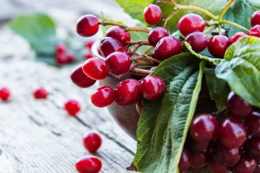 Ahşap bir masa üzerinde yuvarlak bir kapta olgun kırmızı viburnum çilek. Ahşap bir arka plan üzerinde Viburnum. Sonbahar konsepti, hasat, yemek pişirme.