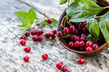Ahşap bir masa üzerinde yuvarlak bir kapta olgun kırmızı viburnum çilek. Ahşap bir arka plan üzerinde Viburnum. Sonbahar konsepti, hasat, yemek pişirme.