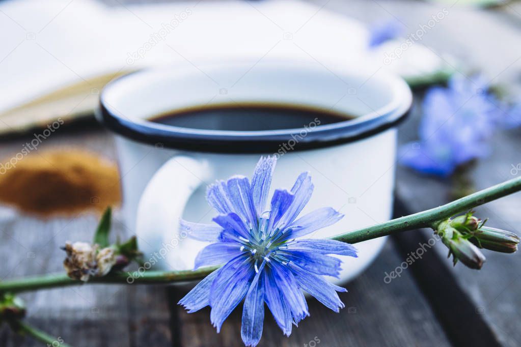 Cup with chicory drink and blue chicory flowers on a wooden table. Chicory powder. Healthy eating concept.