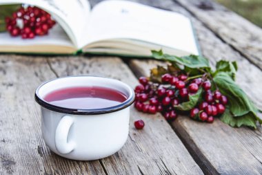 Açık bir kitap ve kırmızı viburnum çilek yakınında ahşap bir masada beyaz kupa veya sıcak viburnum çay fincan. Doğal vitaminlerin kaynağı. Halk hekimliğinde kullanılır.