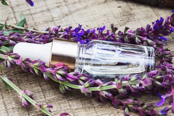 Lavender essential oil in a glass bottle on a wooden table near the branches of blooming lavender. Tincture or essential oil with lavender. herbal medicine. — Stock Photo, Image