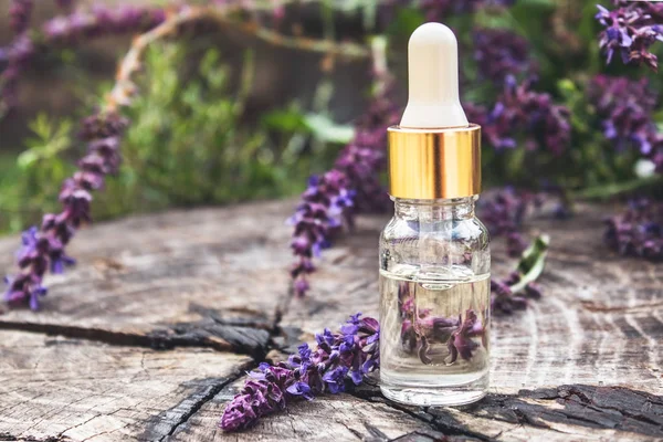 Ätherisches Lavendelöl in einer Glasflasche auf einem Holztisch neben den Zweigen des blühenden Lavendels. Tinktur oder ätherisches Öl mit Lavendel. pflanzliche Medizin. — Stockfoto