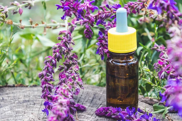 Essential oil in a glass bottle and fresh lavender flowers on a background of nature. Tincture or essential oil with lavender. herbal medicine.