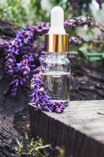 Ätherisches Öl in einer Glasflasche und frische Lavendelblüten vor einem Hintergrund der Natur. Tinktur oder ätherisches Öl mit Lavendel. pflanzliche Medizin. — Stockfoto