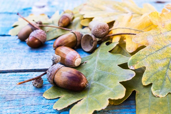 Ghiande autunnali e foglie gialle su vecchie tavole blu. Sfondo con ghiande autunnali . — Foto Stock