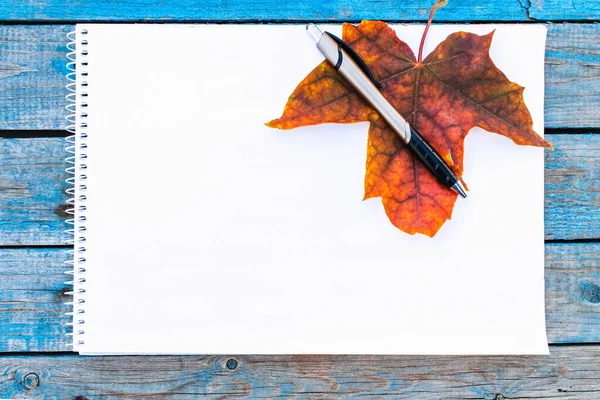 Hoja roja de otoño sobre papel blanco sobre tablas viejas azules. Fondo con hojas de otoño. Copiar espacio para inscripción . — Foto de Stock