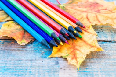 Çok renkli kalemler, sarı bir sonbahar yaprağının üzerinde eski mavi tahtaların arka planında yatıyor..