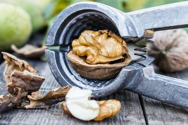 Walnuts and walnut kernels lie on a rustic old wooden table near the nutcracker. Kernels of walnuts. — Stock Photo, Image