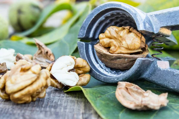 Walnuts and walnut kernels lie on a rustic old wooden table near the nutcracker. Kernels of walnuts. — Stock Photo, Image