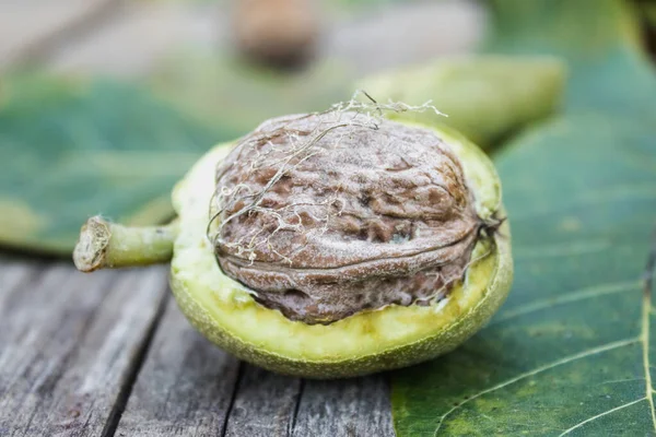 Nueces frescas en una cáscara verde sobre una vieja mesa de madera. Nueces en conchas verdes . —  Fotos de Stock
