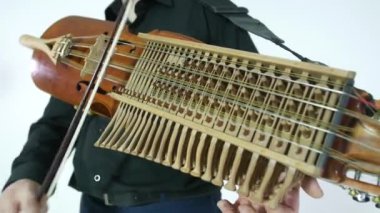 Genç müzisyen Nikelharpa tekniğini gösteriyor, ortaçağdan kalma otantik bir İsveç İskandinav müzik aleti, yakın plan