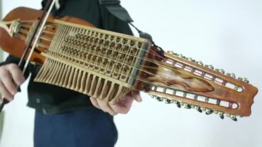 Genç müzisyen Nikelharpa tekniğini gösteriyor, ortaçağdan kalma otantik bir İsveç İskandinav müzik aleti, yakın plan