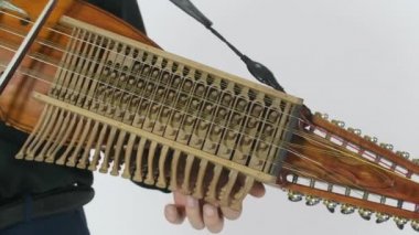 Genç müzisyen Nikelharpa tekniğini gösteriyor, ortaçağdan kalma otantik bir İsveç İskandinav müzik aleti, yakın plan