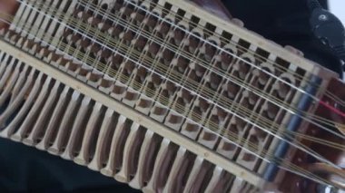 Genç müzisyen Nikelharpa tekniğini gösteriyor, ortaçağdan kalma otantik bir İsveç İskandinav müzik aleti, yakın plan