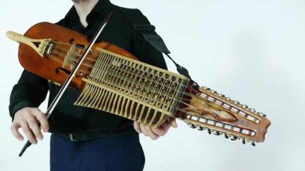 Młody Muzyk Odgrywa Nickelharpa Średniowieczny Autentyczny Szwedzki Skandynawski Instrument Muzyczny — Wideo stockowe
