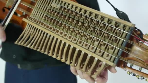 Joven Músico Demuestra Técnica Tocar Nickelharpa Auténtico Instrumento Musical Escandinavo — Vídeos de Stock