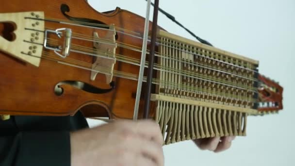 Joven Músico Demuestra Técnica Tocar Nickelharpa Auténtico Instrumento Musical Escandinavo — Vídeos de Stock