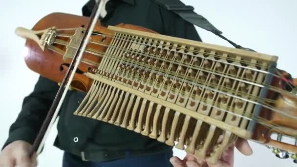 Młody Muzyk Demonstruje Technikę Gry Nickelharpa Średniowieczny Autentyczny Szwedzki Skandynawski — Wideo stockowe