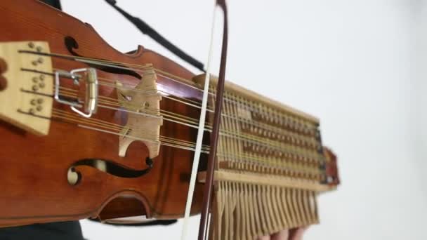 Fiatal Zenész Bemutatja Technika Játszani Nickelharpa Egy Középkori Autentikus Svéd — Stock videók