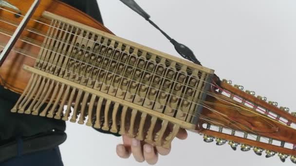 Jonge Muzikant Demonstreert Techniek Van Het Spelen Nickelharpa Een Middeleeuwse — Stockvideo