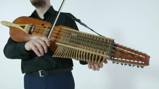 若いミュージシャンがニッケルハルパ 中世の本格的なスウェーデンのスカンジナビア楽器を演奏する — ストック動画