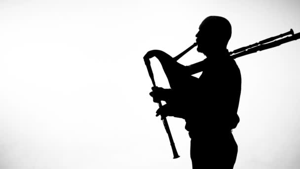 Black Silhouette White Background Man Playing Bagpipes National Ethnic Instrument — Stock Video