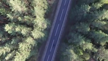 Anten - Bir orman yolunda sürme bir bisikletçinin üst görünümü, drone atış