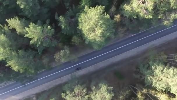 Antenne Top Uitzicht Van Een Biker Rijden Een Bospad Drone — Stockvideo