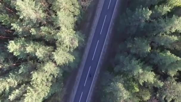 Antenne Top Uitzicht Van Een Biker Rijden Een Bospad Drone — Stockvideo