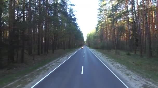 Vista Aérea Motociclista Montando Uma Estrada Floresta Drone Tiro — Vídeo de Stock