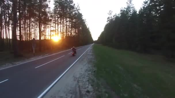 Vista Aérea Motociclista Montando Camino Forestal Dron Disparado — Vídeos de Stock