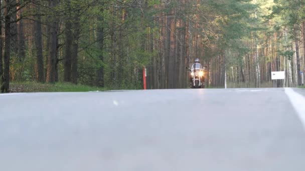 Homem Motociclista Capacete Monta Uma Motocicleta Longo Uma Estrada Floresta — Vídeo de Stock