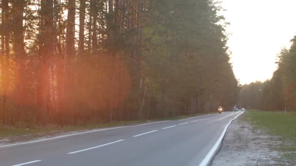 ヘルメットのない大人のバイカーは 日没時に森林道路に沿ってオートバイに乗ります — ストック動画