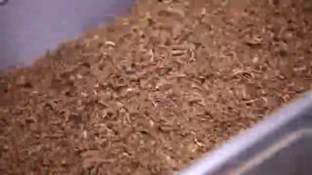 Tobacco Drying Process Cigarette Manufacturing — Stock Video