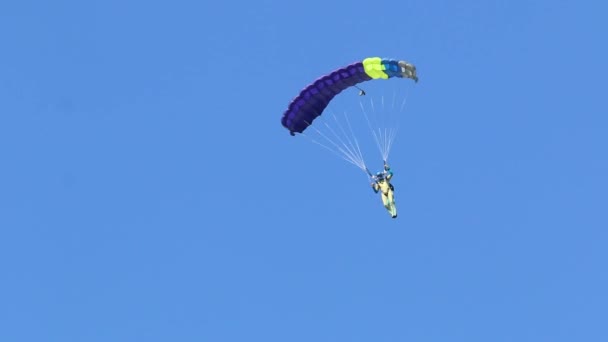 Skydiver Descends Parachute Wing Type Blue Sky — Stock Video