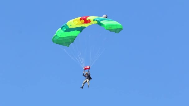 Skydiver Daalt Een Parachute Wing Type Tegen Een Blauwe Hemel — Stockvideo
