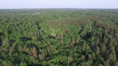 Güzel bir orman veya park, nehrin güzel bir viraj havadan üst görünümü. Çevre dostu çevre, orman ve yaban hayatı, drone atış