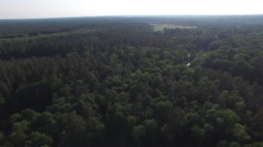 Güzel bir orman veya park, nehrin güzel bir viraj havadan üst görünümü. Çevre dostu çevre, orman ve yaban hayatı, drone atış