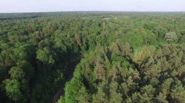 Güzel bir orman veya park, nehrin güzel bir viraj havadan üst görünümü. Çevre dostu çevre, orman ve yaban hayatı, drone atış