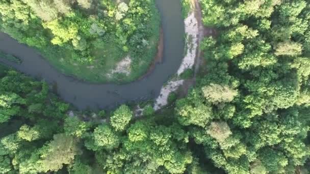 Vista Aérea Hermoso Bosque Parque Una Hermosa Curva Del Río — Vídeos de Stock