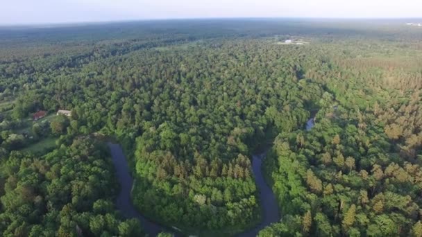 Vista Aérea Hermoso Bosque Parque Una Hermosa Curva Del Río — Vídeos de Stock