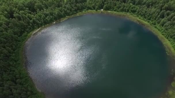 Τέλεια Στρογγυλή Λίμνη Στο Δάσος Θέα Στο Τοπίο Εναέρια Θέα — Αρχείο Βίντεο