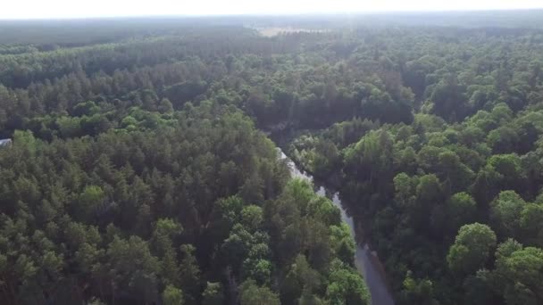 Luftaufnahme Eines Schönen Waldes Oder Parks Einer Schönen Flussbiegung Umweltfreundliche — Stockvideo