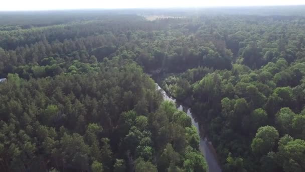 Vista Aérea Hermoso Bosque Parque Una Hermosa Curva Del Río — Vídeos de Stock