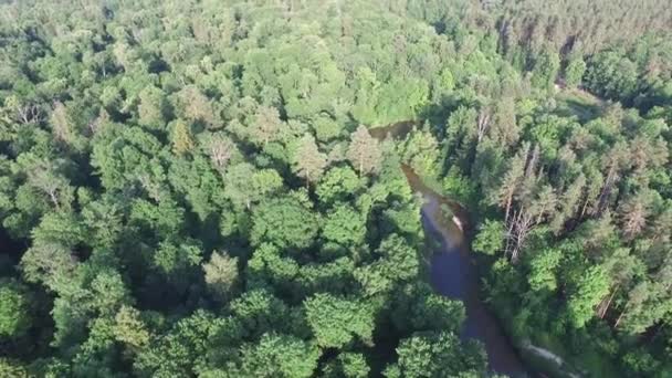 Luftaufnahme Eines Schönen Waldes Oder Parks Einer Schönen Flussbiegung Umweltfreundliche — Stockvideo